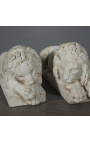 Fabulous sculpture of a pair of Italian lions