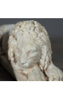 Fantastisk skulptur av ett par italienska lejon