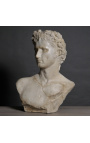 Överdådig bystskulptur av krönte Augustus