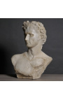 Sumptuous bust sculpture of crowned Augustus