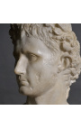 Escultura suntuosa do busto do coroado Augusto