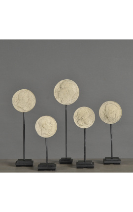 Conjunto de 5 medalhões em estuque do século XIX