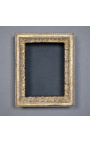 Gilded Louis XV frame with interior shelves (cabinet)