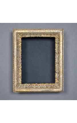 Altri Louis XV cornice con scaffali interni (armadio)