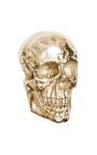 Gran decoració de paret "Crani" d'alumini daurat