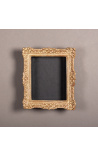 Louis XIV Montparnasse stijl frame met interieur vloeren (cabinet) in patineerd goud