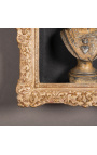 Louis XIV "Montparnasse" style frame with interior shelves (cabinet) in patinated gold