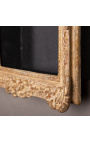 Louis XIV "Montparnasse" style frame with interior shelves (cabinet) in patinated gold