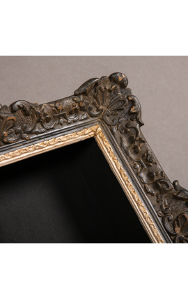Louis XIV &quot;Montparnasse&quot; frame de stil cu plăci interioare (cabinet) patina neagră