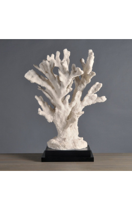 Branca de corall gegant de Stylophora muntada sobre base de fusta
