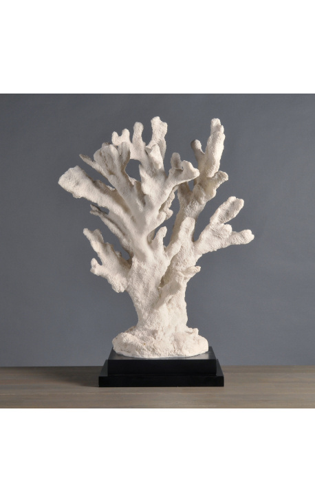 Koralljätten Stylophora-gren monterad på träfot