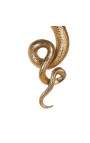Аплик "Змия" от алуминий в цвят злато
