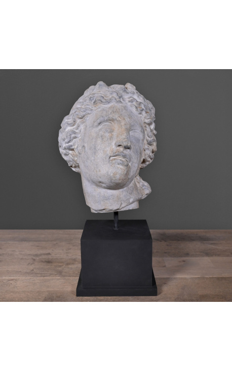 Gran escultura "Head of Artemis" en terracota sobre soporte negro