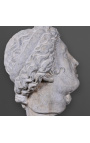 Grote Sculptuur "Hoofd van Artemis" in terracotta op zwarte steun