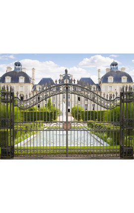 Portail de château, baroque, en fer forgé avec deux vantaux et deux colonnes 