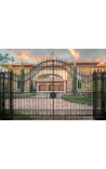 Gate for castle, baroque wrought iron gates with two doors and two columns
