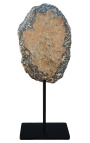 Fossilized Trilobite XL presentert på en svart metallbase