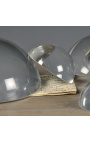 Conjunto de 6 lupas de vidro ideais como peso de papel