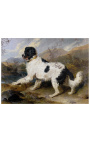 Maleri "Newfoundland hund kaldet Lion" - I nærheden af Edwin Landseer