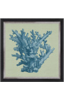 Gravure carrée d'un corail avec cadre bleu sur fond vert - Modèle Chambray 1