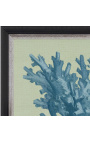 Grabado cuadrado de un coral con marco azul sobre fondo verde - Modelo Chambray 1
