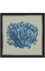 Square engraving of a coral with blue frame on a green background - Chambray 3 model