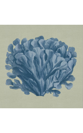 Grabado cuadrado de un coral con marco azul sobre fondo verde - Modelo Chambray 3