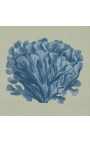 Square engraving of a coral with blue frame on a green background - Chambray 3 model