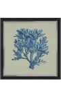 Square engraving of a coral with blue frame on a green background - Chambray 4 model