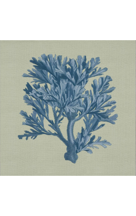 Grabado cuadrado de un coral con marco azul sobre fondo verde - Modelo Chambray 4