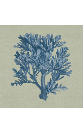 Square engraving of a coral with blue frame on a green background - Chambray 4 model