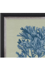Kvadratna gravura korale z modrim okvirjem na zeleni podlagi - model Chambray 4
