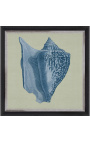 Square engraving of a shell with blue frame on a green background - Chambray 5 model