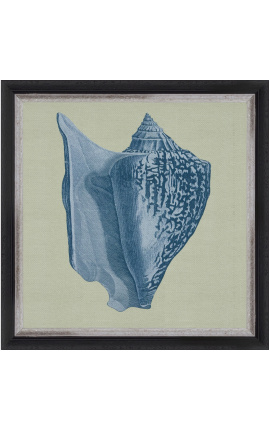 Square engraving of a shell with blue frame on a green background - Chambray 5 model