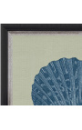 Square engraving of a shell with blue frame on green background - Chambray 6 model
