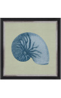 Square engraving of a shell with blue frame on green background - Chambray 7 model