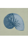 Square engraving of a shell with blue frame on green background - Chambray 7 model
