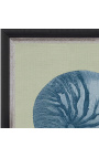 Square engraving of a shell with blue frame on green background - Chambray 7 model