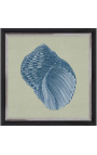 Square graven van een shell met blauwe frame op groene achtergrond - Chambray 8 model