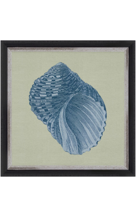 Gravure carrée d'un coquillage avec cadre bleu sur fond vert - Modèle Chambray 8