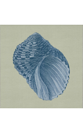 Grabado cuadrado de una concha con marco azul sobre fondo verde - Chambray modelo 8