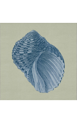 Gravure carrée d&#039;un coquillage avec cadre bleu sur fond vert - Modèle Chambray 8
