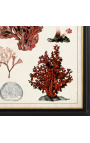 Голяма правоъгълна коралова гравюра "Антично изследване на корали" - Модел 1