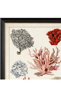 Gran grabado rectangular de coral "Ancient Coral Study" - Modelo 2