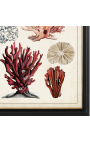 Большая прямоугольная гравюра на коралле "Исследование древнего коралла" - Модель 2