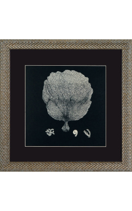 Square engraving of a coral with frame silveré 40 x 40 - Model 1