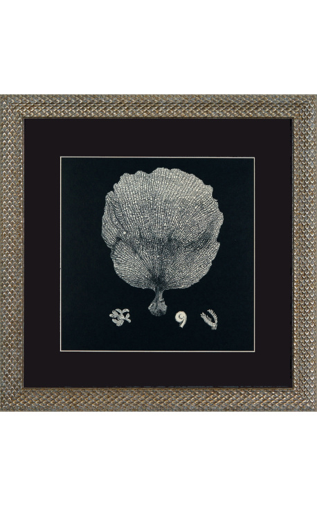 Square engraving of a coral with frame silveré 40 x 40 - Model 1