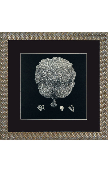 Stampa quadrata di un corallo con cornice in argento 40 x 40 - Modello 1