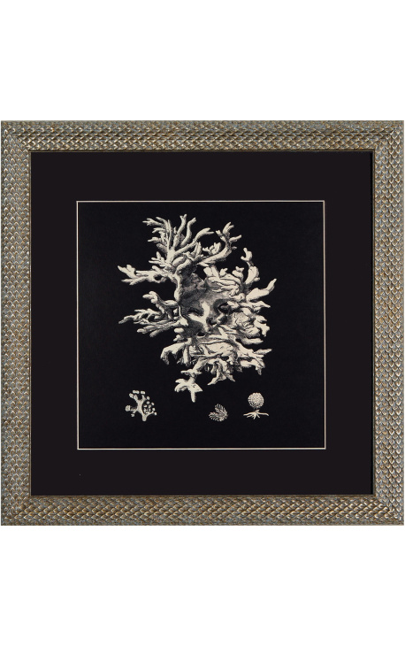 Stampa quadrata di un corallo con cornice in argento 40 x 40 - Modello 3