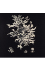 Gravure carrée d'un corail avec cadre argenté 40 x 40 - Modèle 3